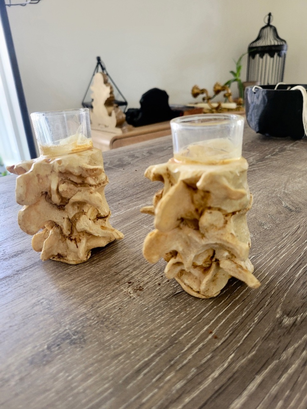 Vertebrate shot glass candle holders Oddity taxidermy